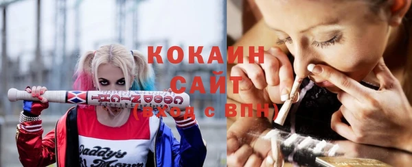 молекула духа Магас