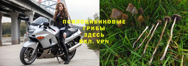 прущие крисы Майский