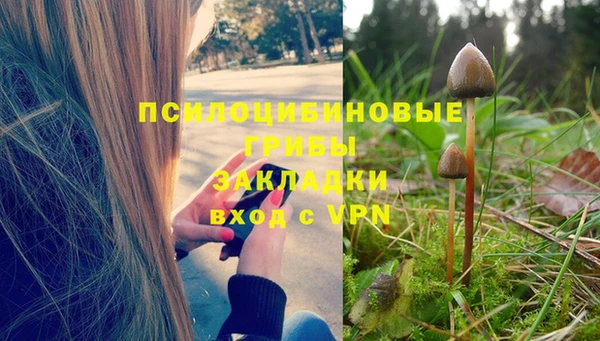 прущие крисы Майский