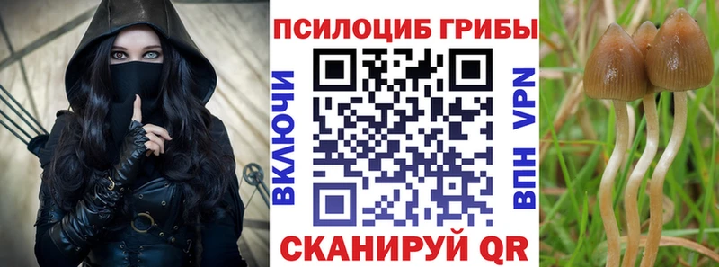 Псилоцибиновые грибы Psilocybine cubensis  купить наркоту  МЕГА зеркало  Прокопьевск 