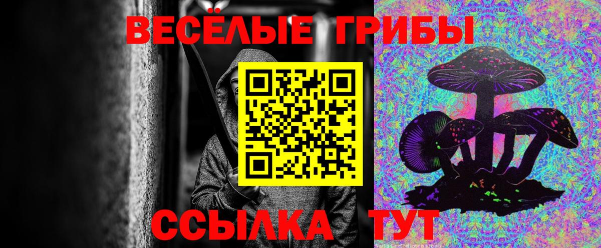 Галлюциногенные грибы прущие грибы  Вход с VPN  Прокопьевск 
